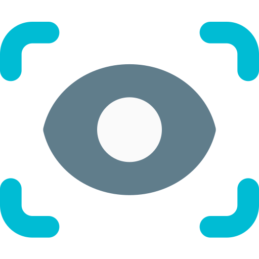 Focus icon