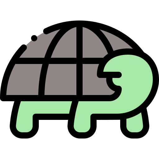 Turtle icon