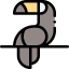 Toucan icône 64x64