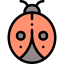 Ladybug 图标 64x64