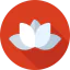 Lotus icon 64x64