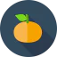Orange ícono 64x64
