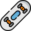 Skateboard icon 64x64