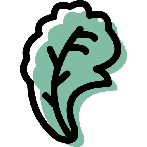 Lettuce icon