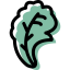 Lettuce icon 64x64