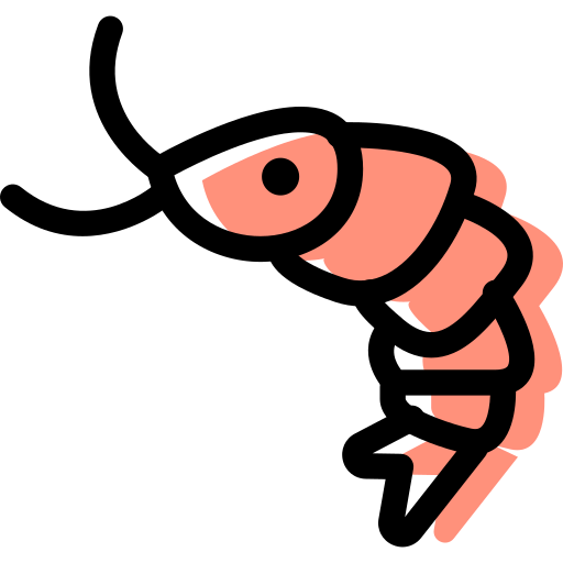 Shrimp icon