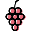 Grapes icon 64x64