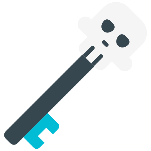 Key icon