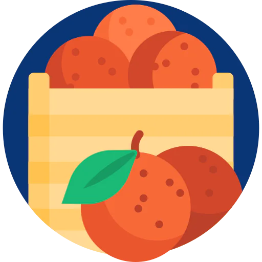 Oranges icon