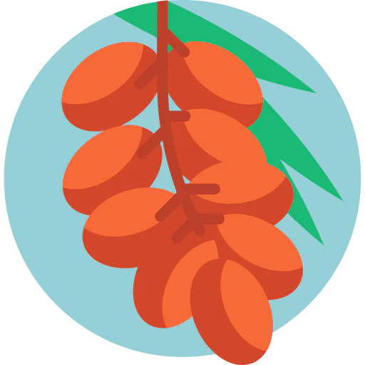 Date icon
