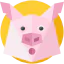 Pig icon 64x64