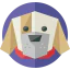 Собака иконка 64x64