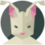 Rabbit іконка 64x64