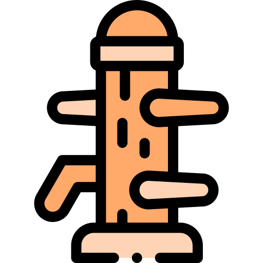 Training icon