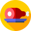Turkey icon 64x64
