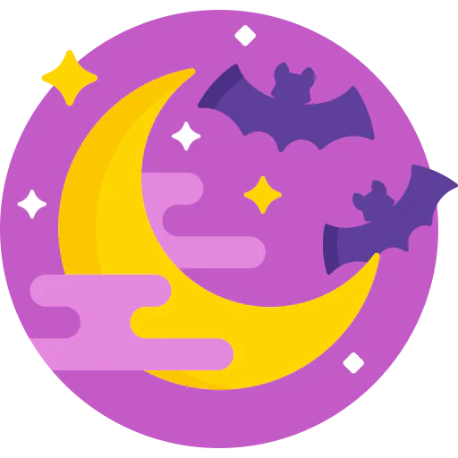 Moon 상
