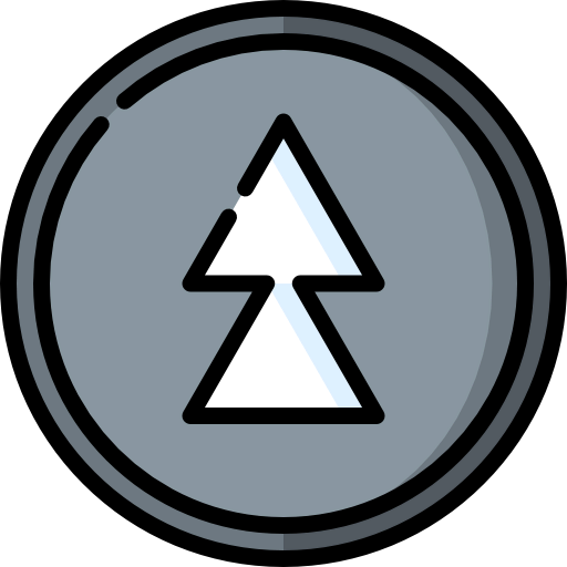 Fast forward icon