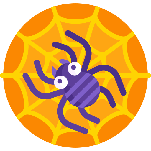 Spider web icon