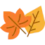 Leaves icon 64x64