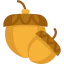 Acorn icon 64x64