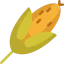 Corn icon 64x64