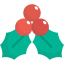 Mistletoe 图标 64x64