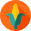 Corn icon 64x64