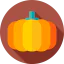 Pumpkin biểu tượng 64x64