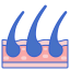 Dermis icon 64x64