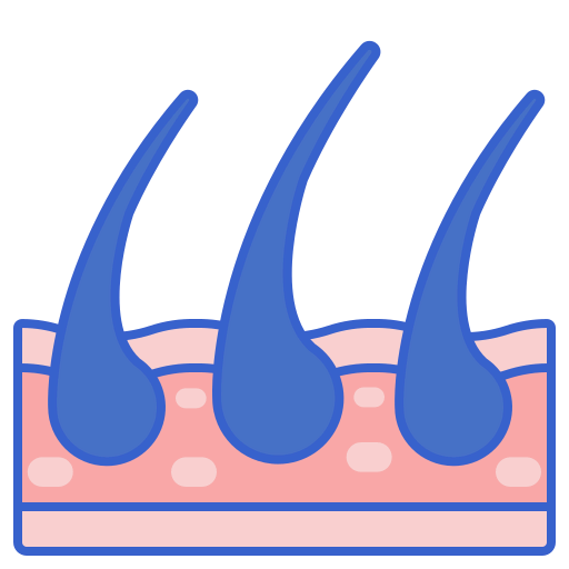 Dermis icon