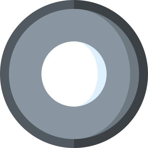 Record icon