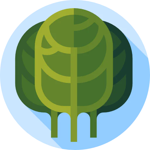 Spinach icon