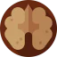 Nut іконка 64x64