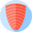 Salmon icon 64x64