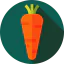 Carrot icon 64x64