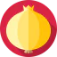 Onion icon 64x64