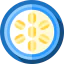 Oat icon 64x64