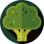 Broccoli biểu tượng 64x64
