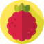 Raspberry 상 64x64