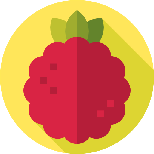 Raspberry icon