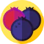 Blueberries icon 64x64