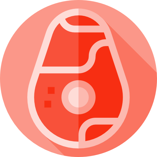 Steak icon