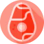 Steak icon 64x64