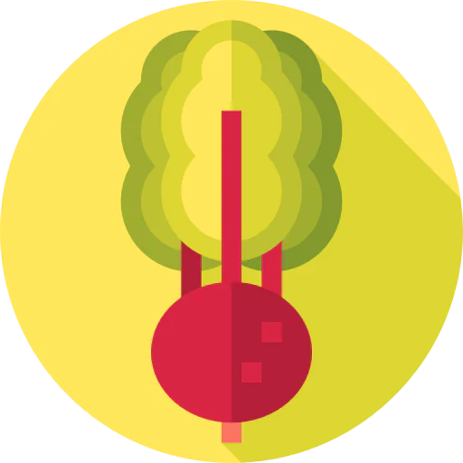 Beet icon