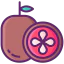 Passion fruit アイコン 64x64