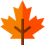 Maple leaf 图标 64x64