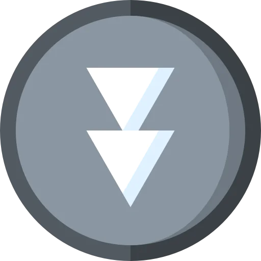 Fast forward icon
