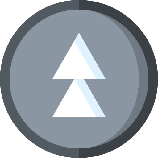 Fast forward icon