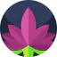 Lotus flower icon 64x64