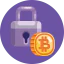 Bitcoin encryption ícono 64x64